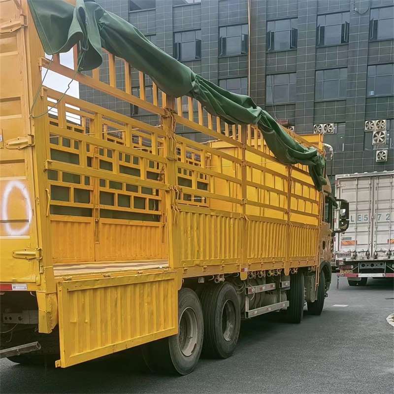 七台河至宜宾货运专线一站式物流服务，让货物畅行无忧